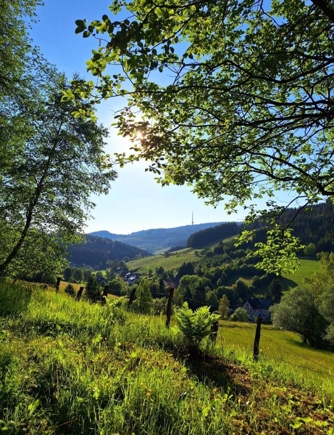 Ferienwohnung Kraehling Schmallenberg Kültér fotó